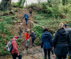 Boconnoc-Ancient-Trees-102