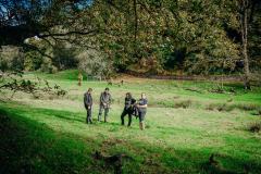 Boconnoc-Ancient-Trees-219
