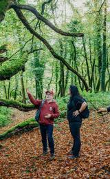 Boconnoc-Ancient-Trees-47