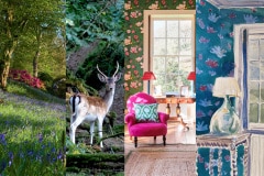 Boconnoc_Gardens_2100