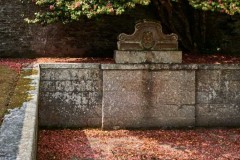 Boconnoc Gardens