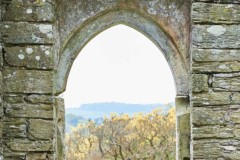 Boconnoc Gardens
