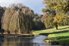 Autumn Lake