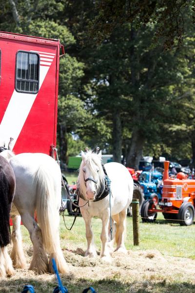 Boconnoc-Steam-Fair-0091