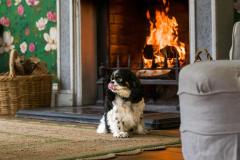 Boconnoc-dfs-stew-fire-ls-2-scaled