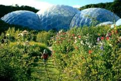 Eden-Project-Biomes