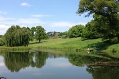 Boconnoc-Views