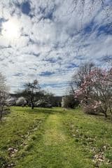 00f1325e-05ee-4d99-99b4-cecd7beefbb0-1