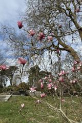 293100e1-8b94-4ca3-ba2c-62a00cb41309-1