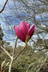 3cdb29cb-d72b-48ed-a539-bf5ca7276707