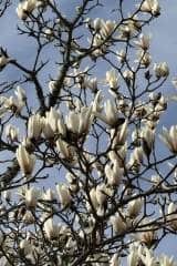 9df26c3c-dcca-4b2f-935d-a041f7ae478e