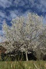 d94376ff-c94c-4638-973d-d21783761bef-1