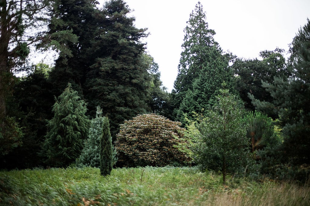 Woodland walks at Boconnoc
