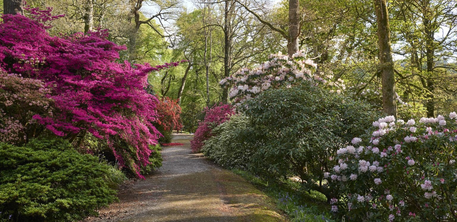 Boconnoc House & Estate | Wedding Venue and Accommodation Cornwall