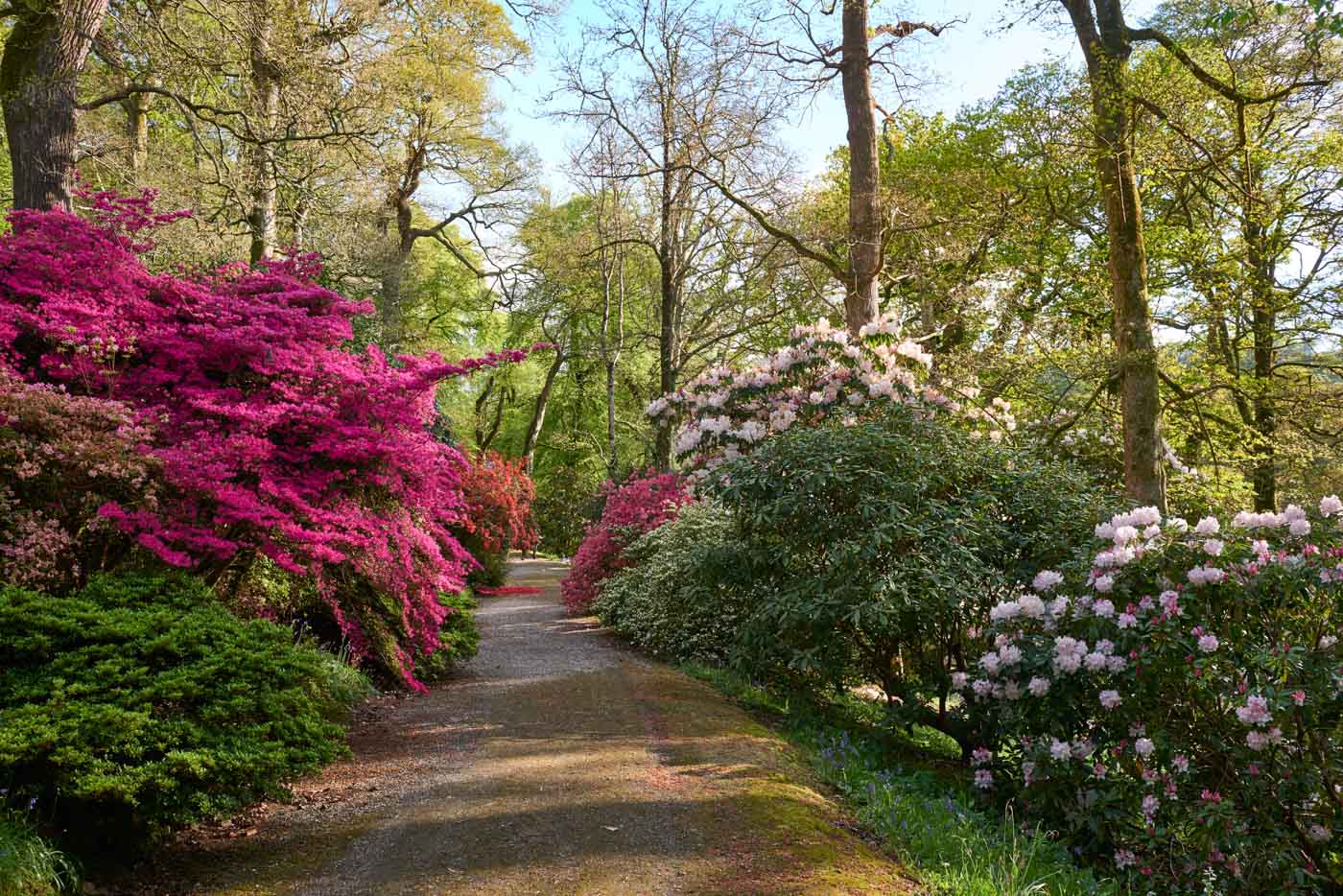 The Stewardry Walk