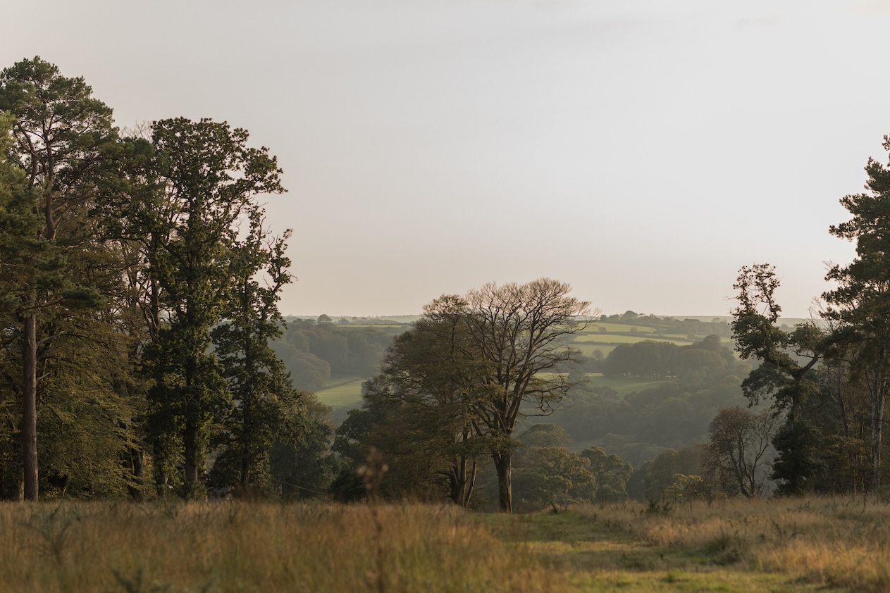 community events in cornwall